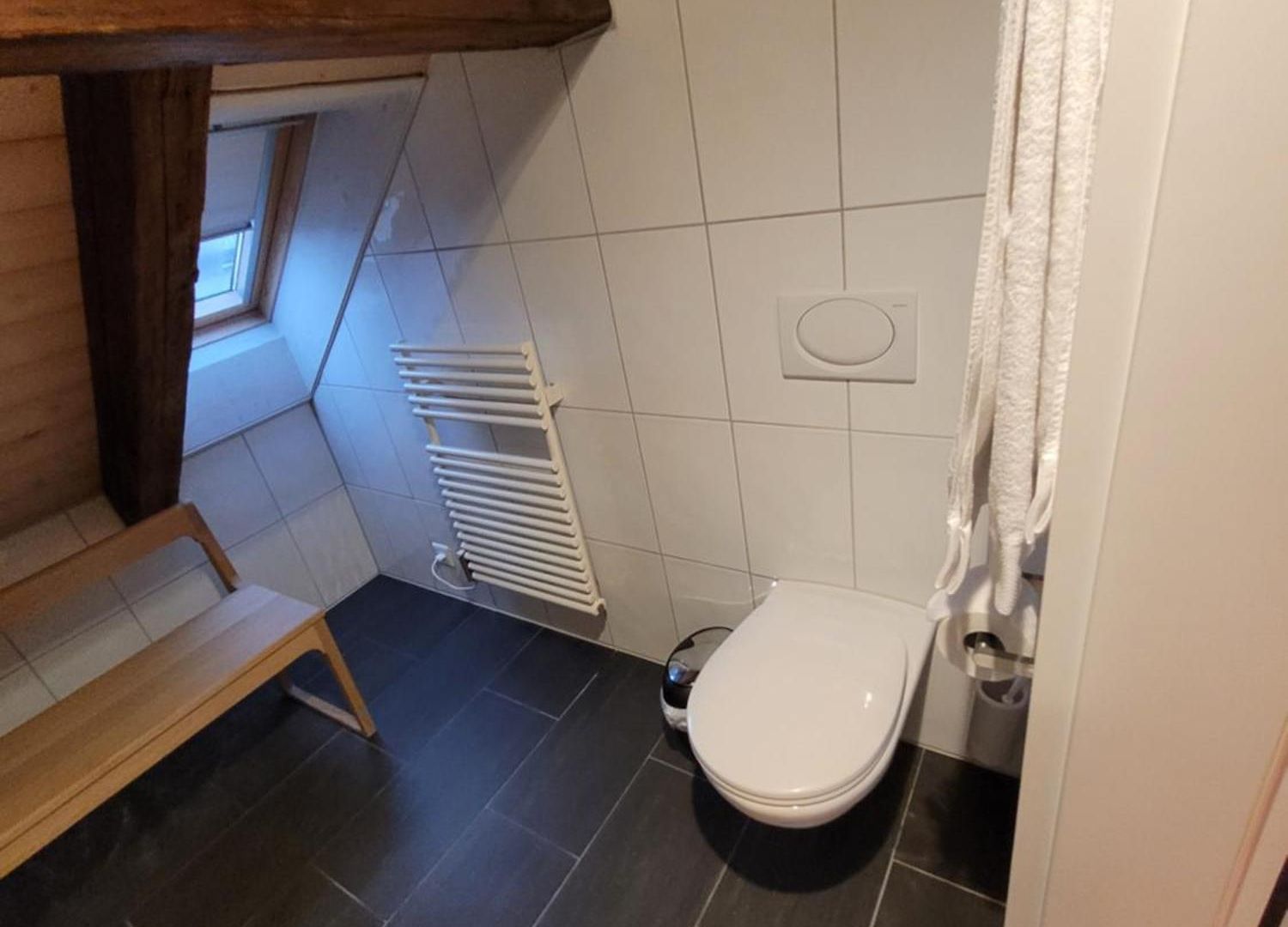 Le Bijou Lintheschergasse / Hb Apartment Zürich