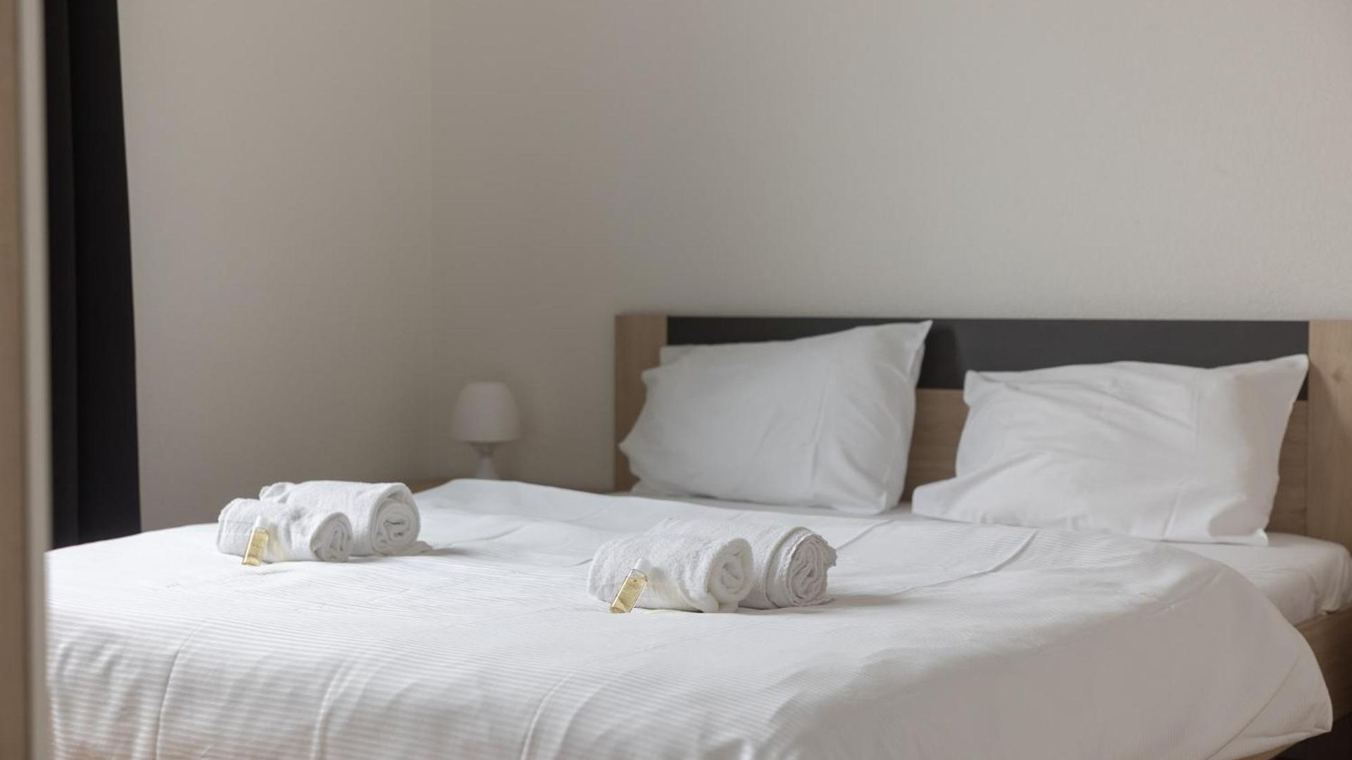 Downtown Dream 3,5br With Balcony And Style Ba22 Zurich