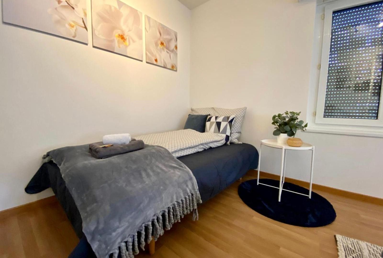 Apartment Modern Eingerichtete Stadtwohnung In Wollishofen
