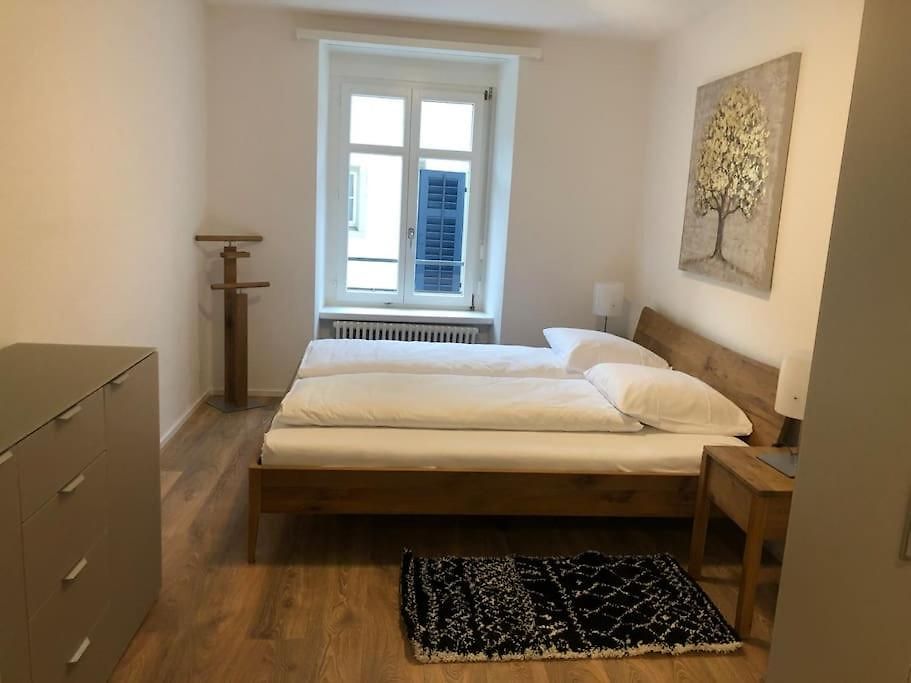 Apartment Fantastic 2br Flat Close To Paradeplatz - Canal2 Zürich