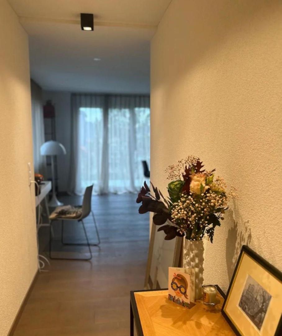 Cozy In Zurich