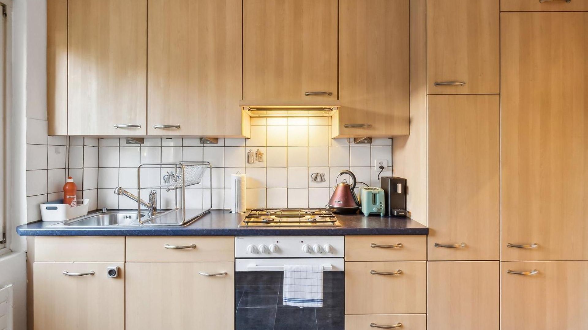 Homey Comfort In Oerlikon Apartment Zurich