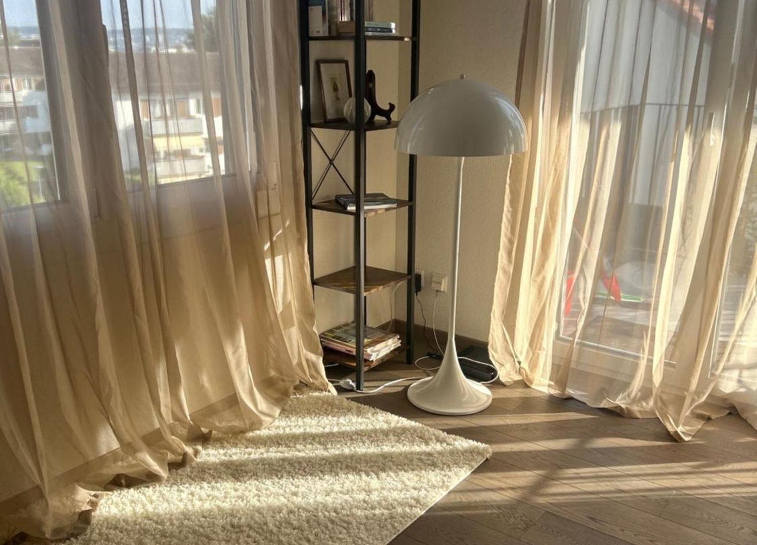 Apartment Cozy In Zurich