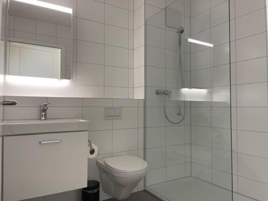 Faboulous 1br Near Center - Sun 16 * Zurich