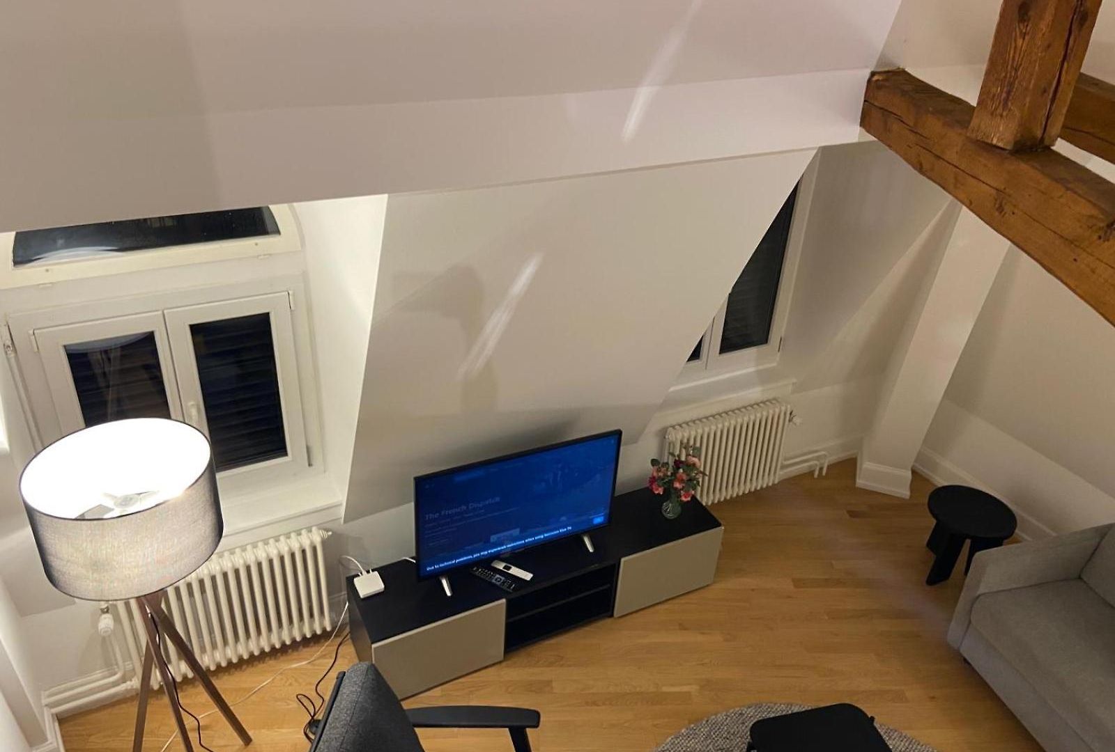 Apartment 3 Bedroom Duplex In Wiedikon *