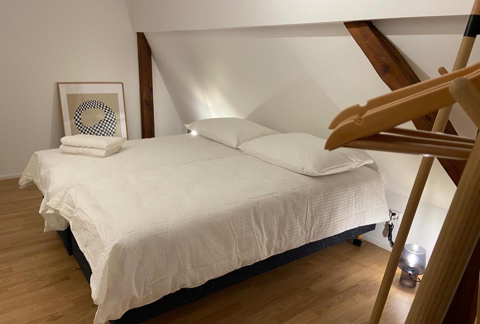 3 Bedroom Duplex In Wiedikon