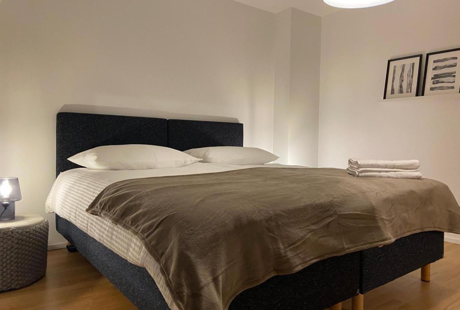 3 Bedroom Duplex In Wiedikon *