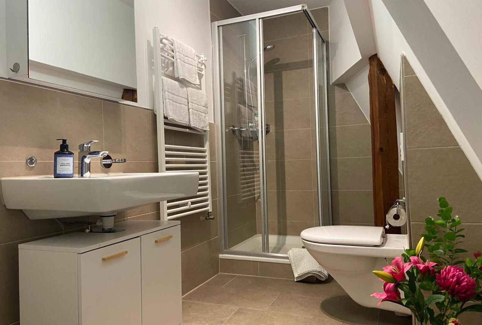 3 Bedroom Duplex In Wiedikon