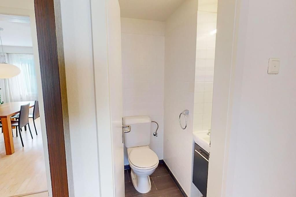 Executive 2br Near And Center - Dufour 4 Zurich