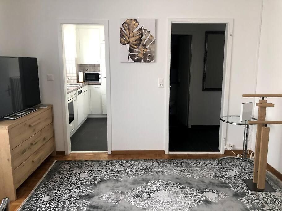 Apartment Bright And Quiet In The Center - Sky1 Zurich