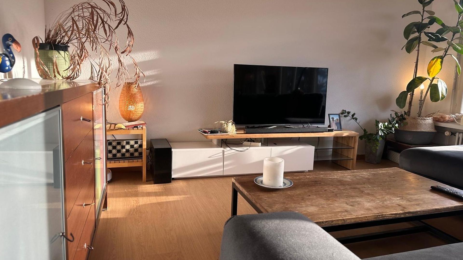 Lovely Room, 15 Min From Center, Mountain View * Zurich