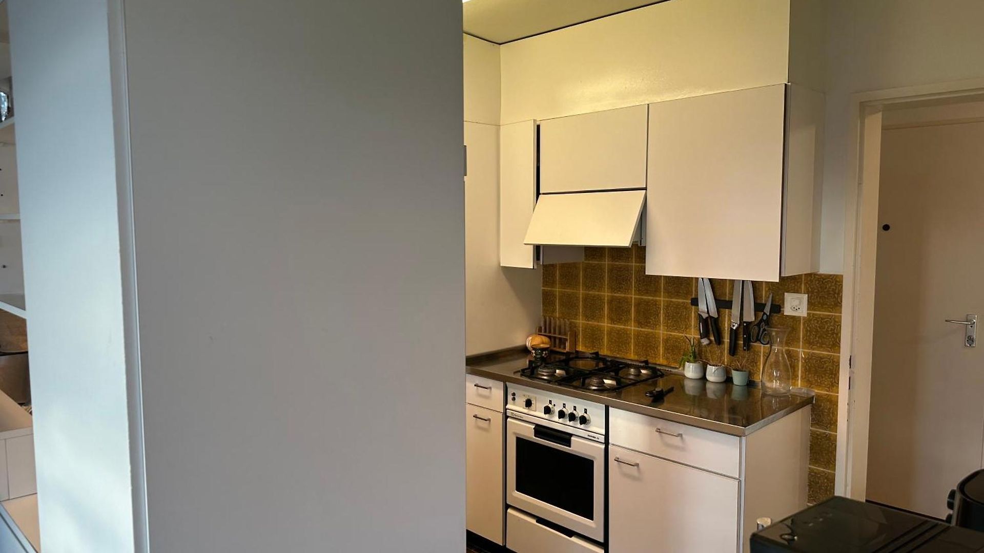 Lovely Room, 15 Min From Center, Mountain View Zurich