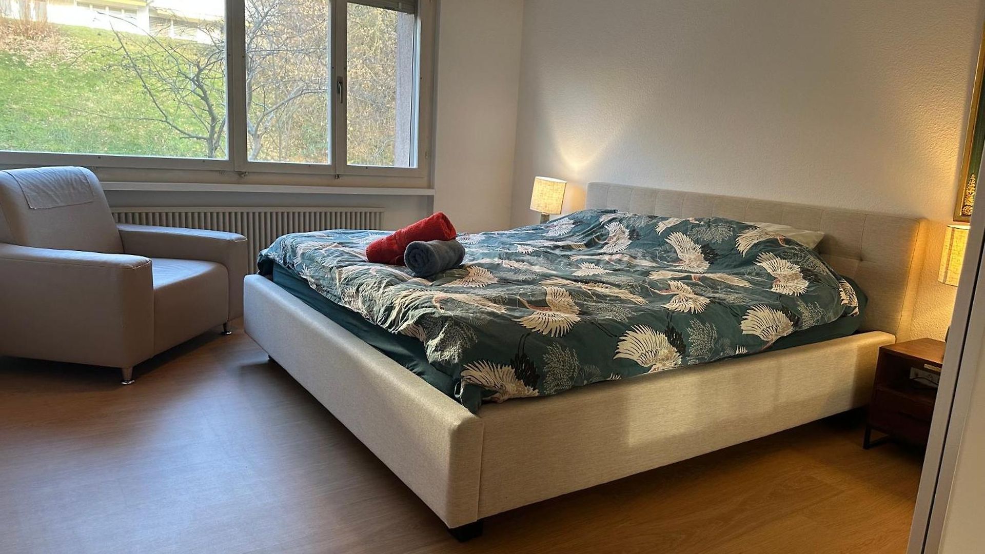 Homestay Lovely Room, 15 Min From Center, Mountain View Zurich