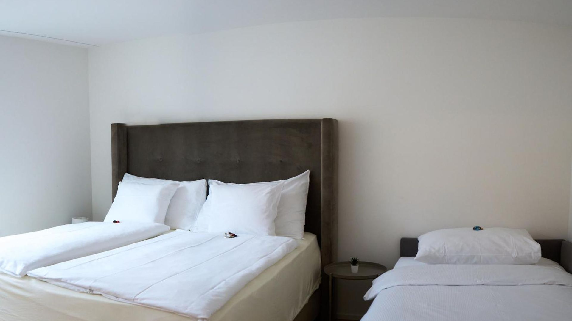 Apartment Wollishofen Station 2 Bedroom Luxury *