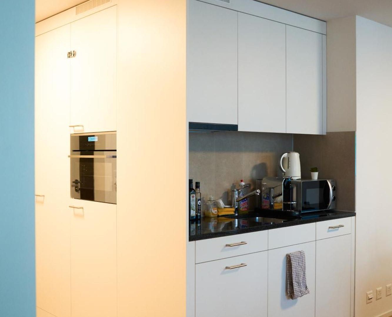Apartment Wollishofen Station 2 Bedroom Luxury Zurich