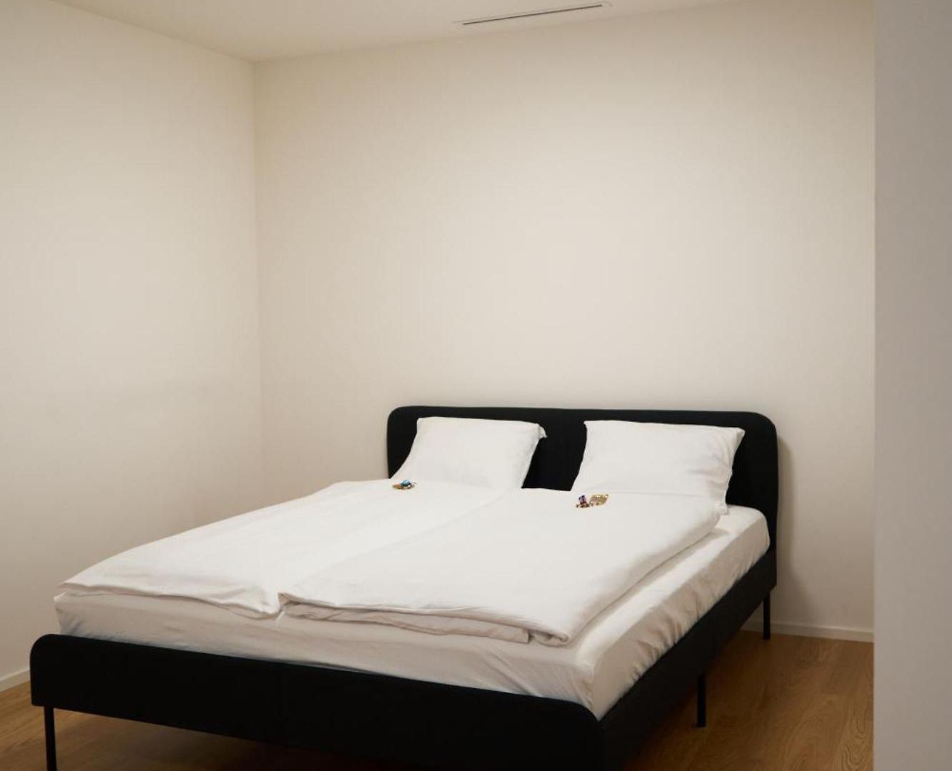 Apartment Wollishofen Station 2 Bedroom Luxury Zurich
