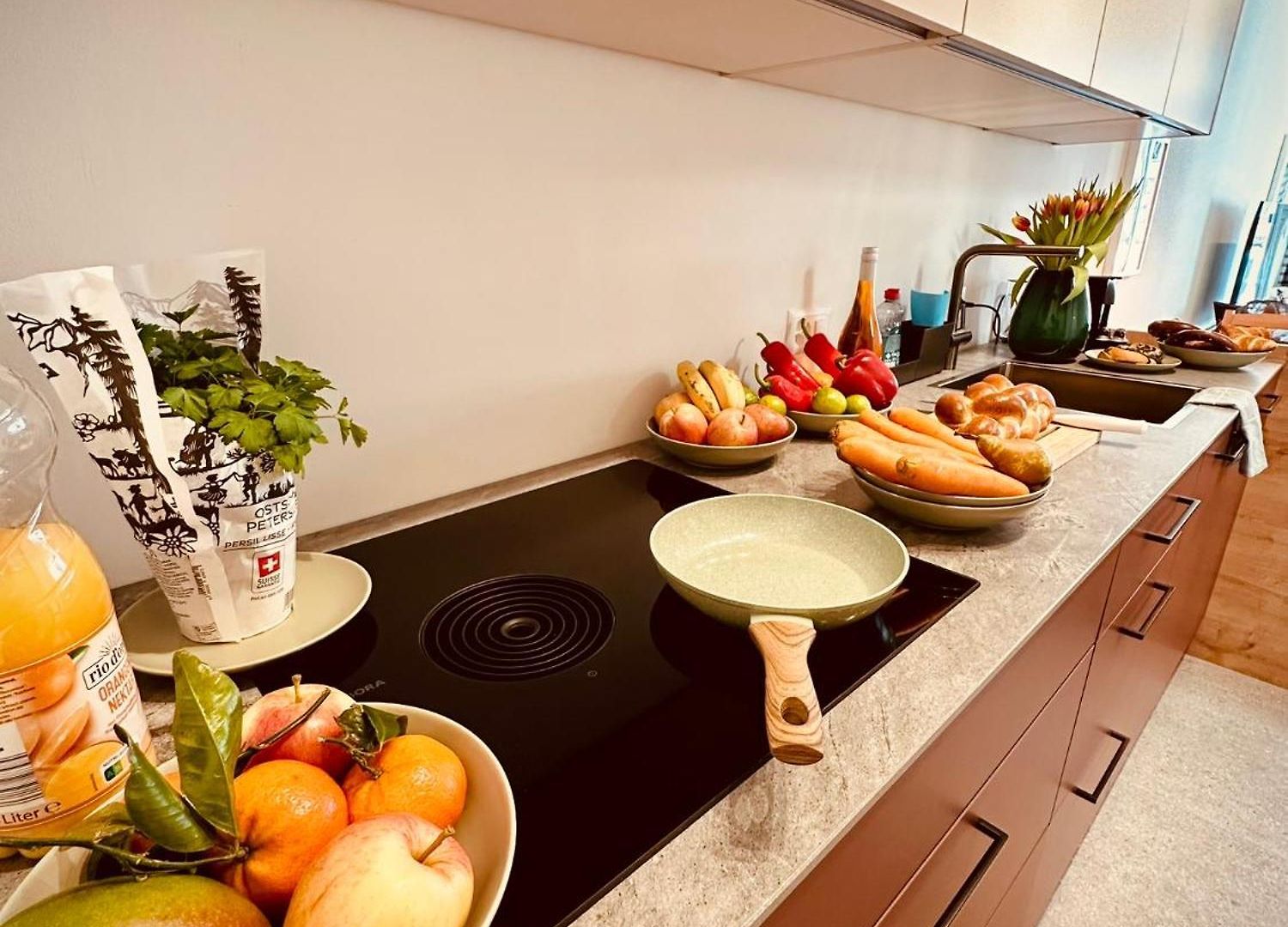 New With Sunny Terrace & Air Condition Apartment Zurich