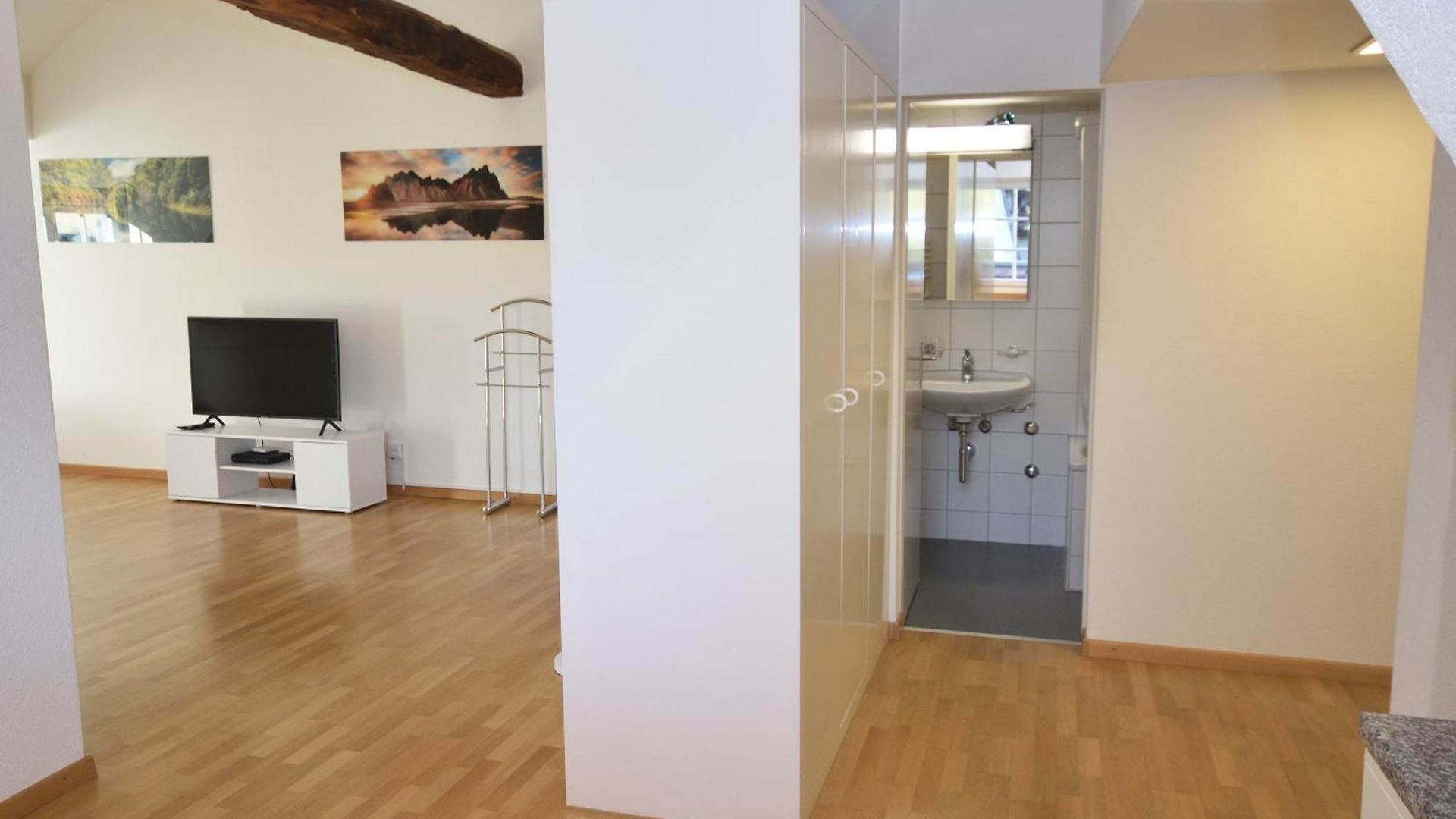 Apartment Loft In The Historical Center - Symbol 4 Zurich