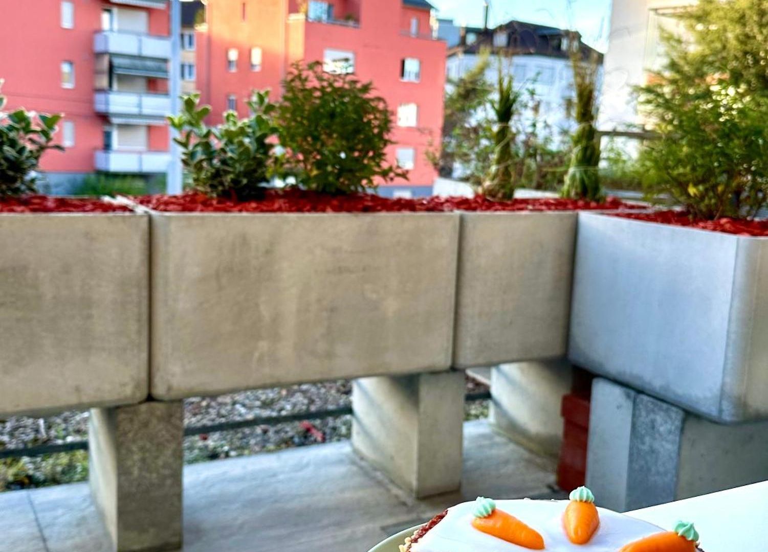 Apartment New With Sunny Terrace & Air Condition