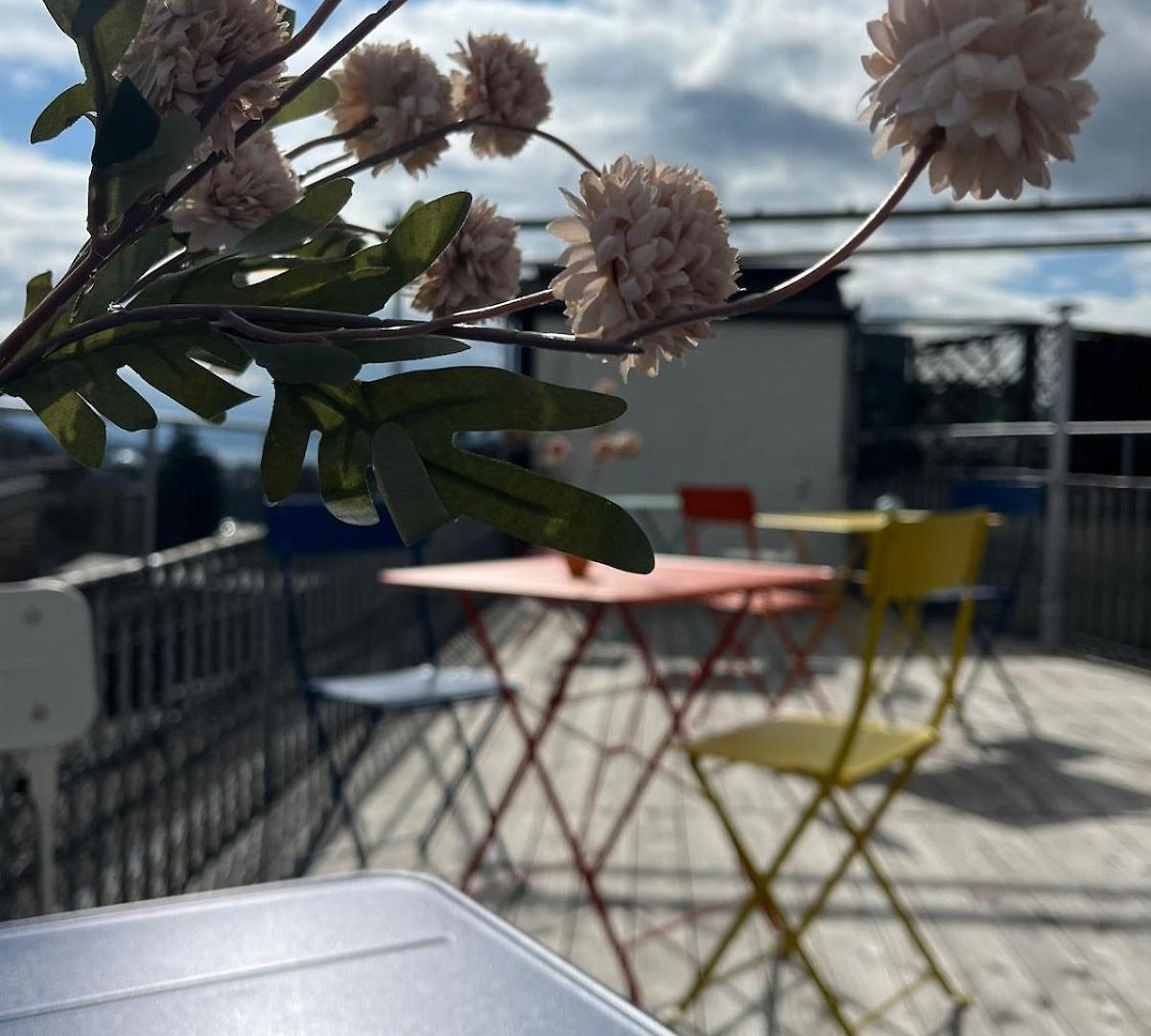 Cosy · Kreis 6 Zürich