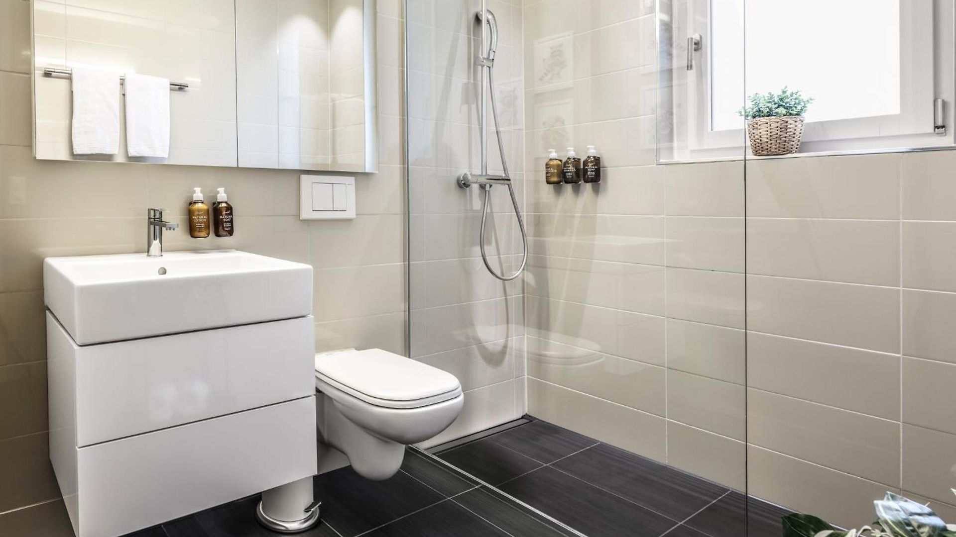 Apartment Location Ac Free Parking Swissexperience