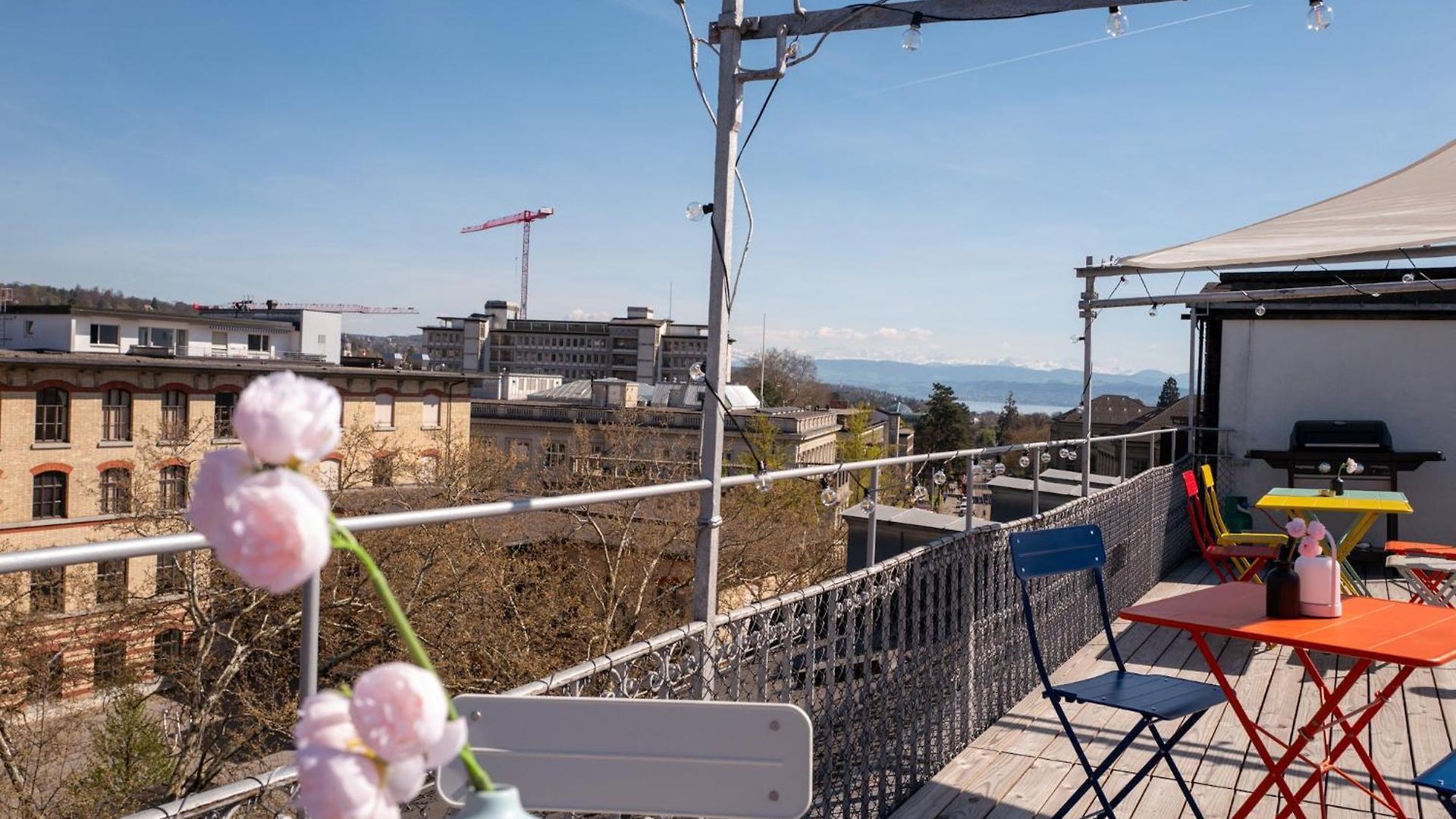 Rose - Kreis 6 * Zurich