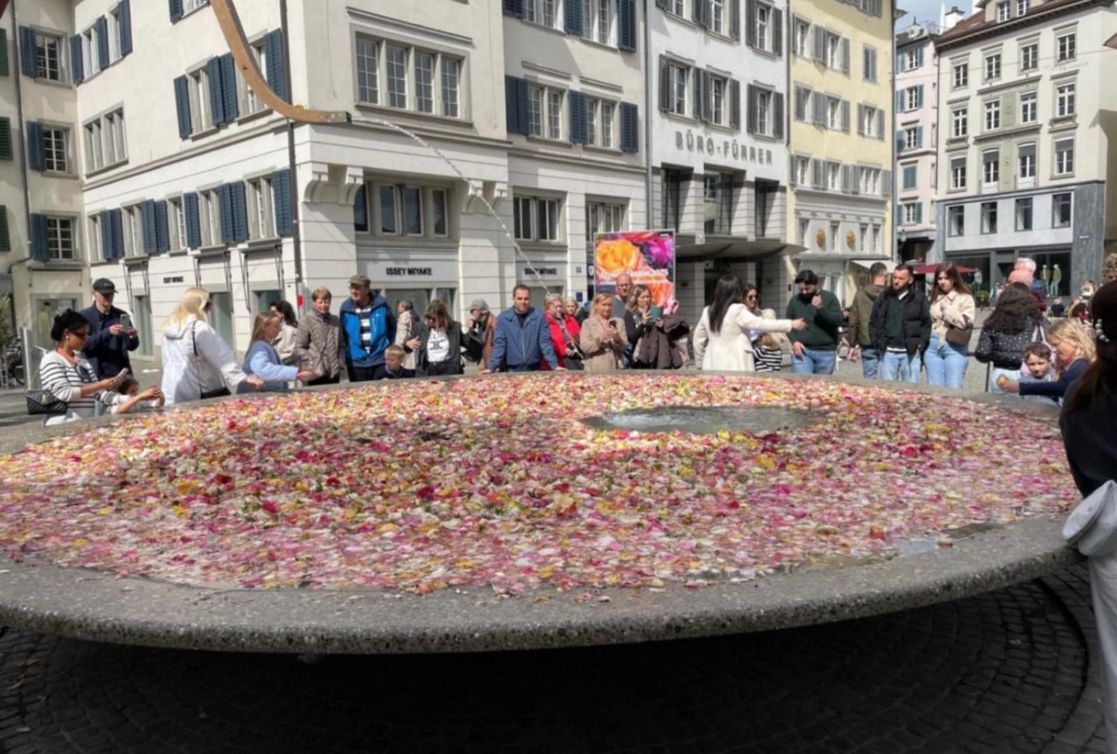 Cozy In * Zurich