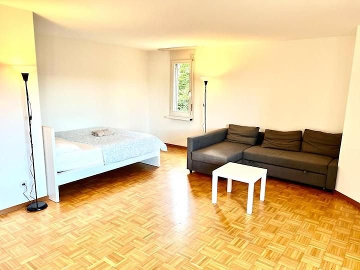 Zurich Center Flats With Balcony - Rigid *