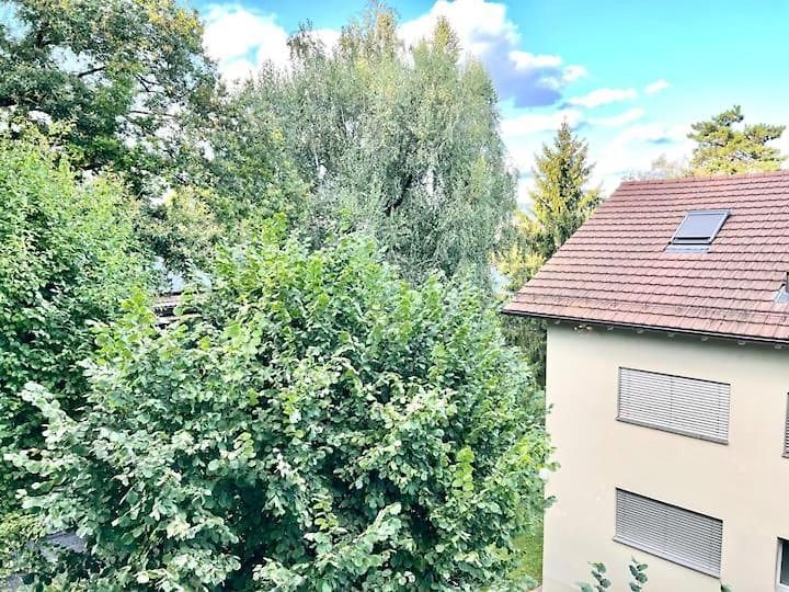 Zurich Center Flats With Balcony - Rigid Zurich