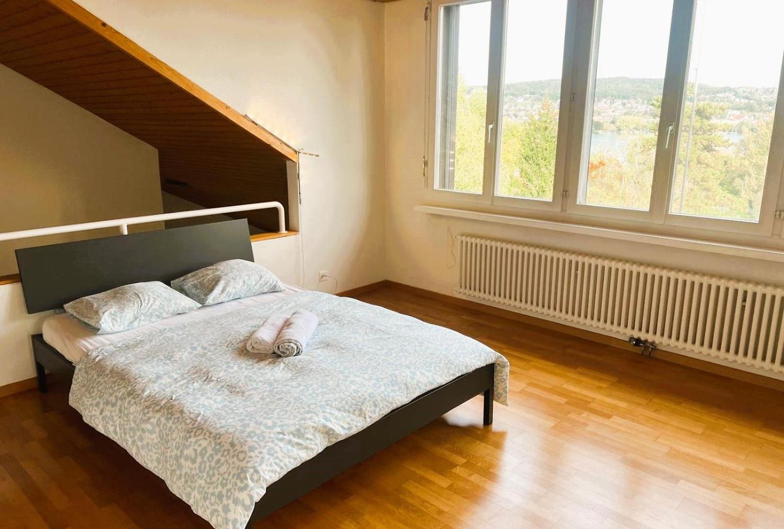 Zurich Center Flats With Balcony - Rigid * Zurich