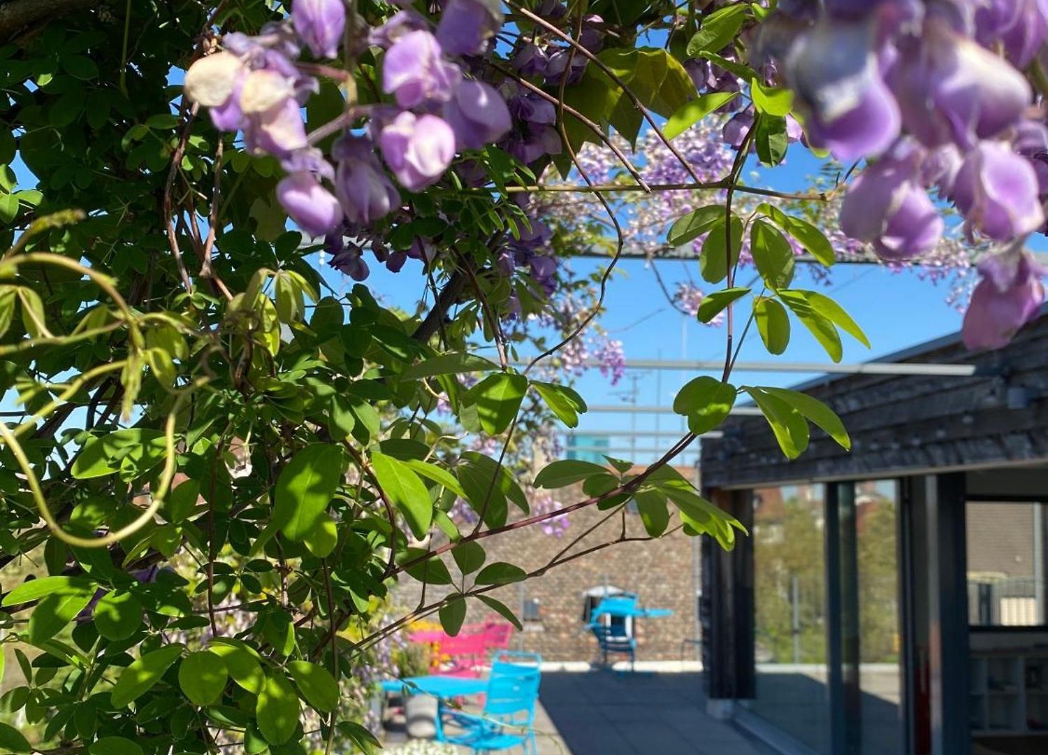 Josephine's - Women Only With Rooftop And Community Area 3* Zurich