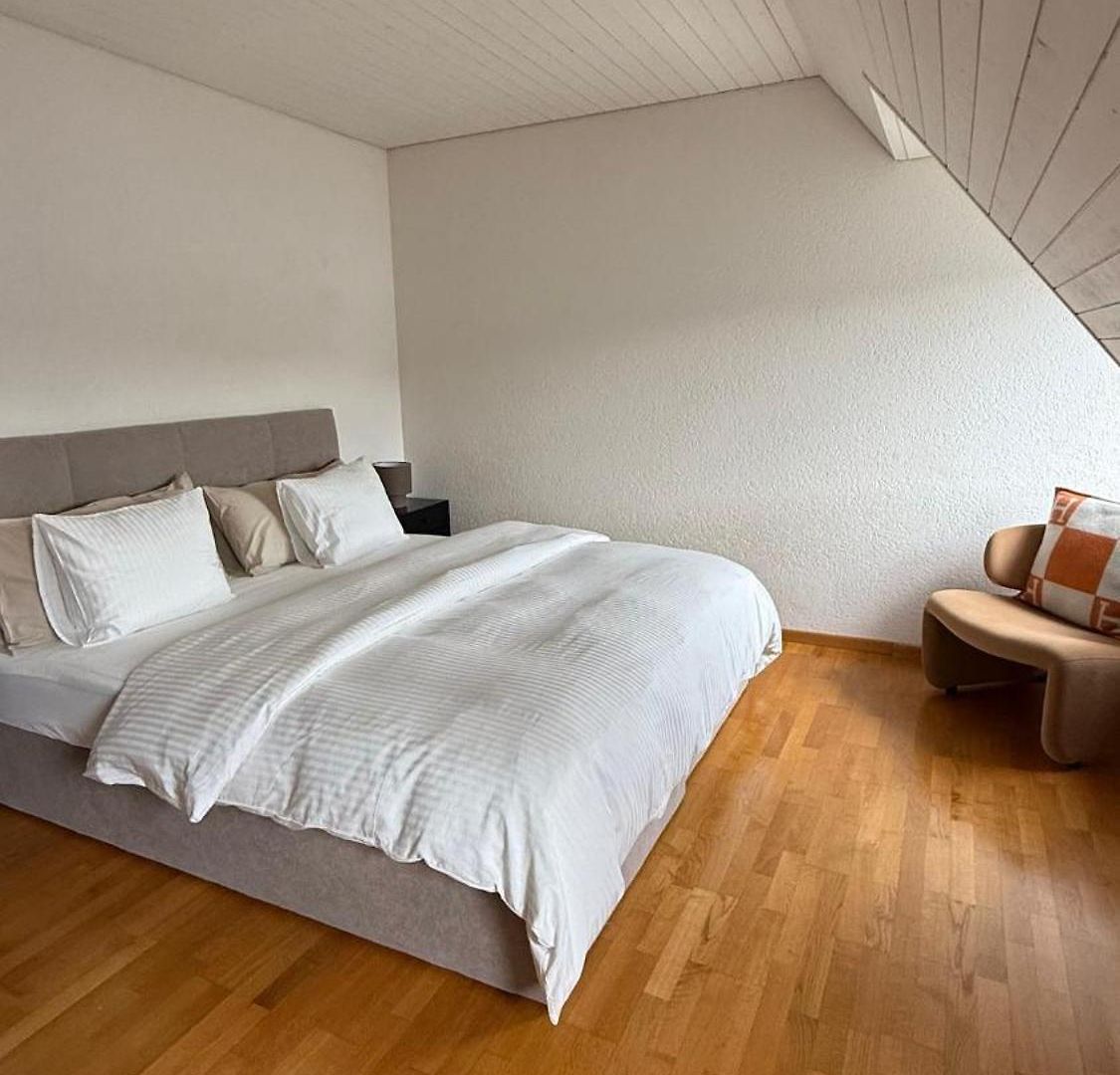 Maison Zueri Apartment Zurich