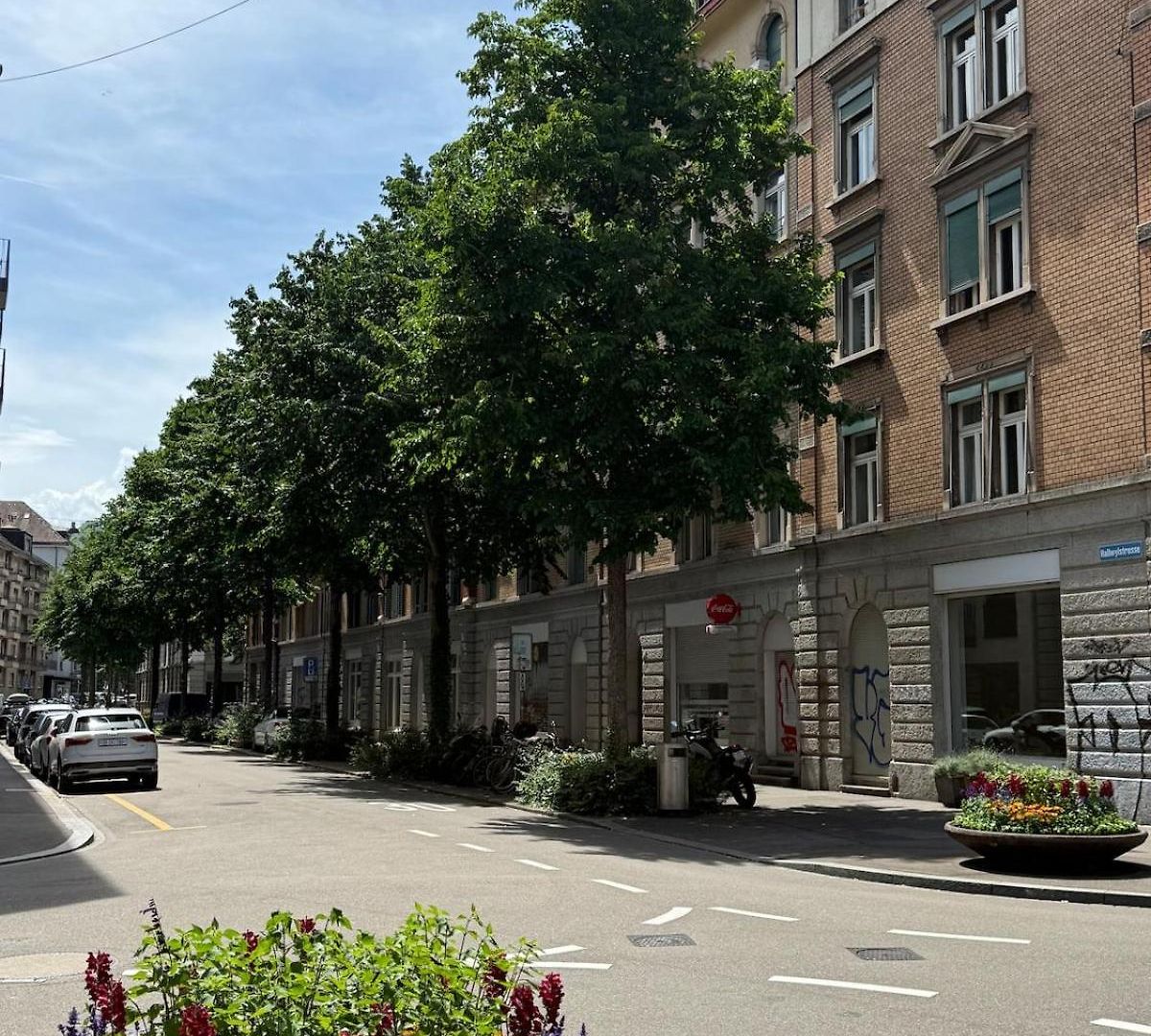 Maison Zueri *