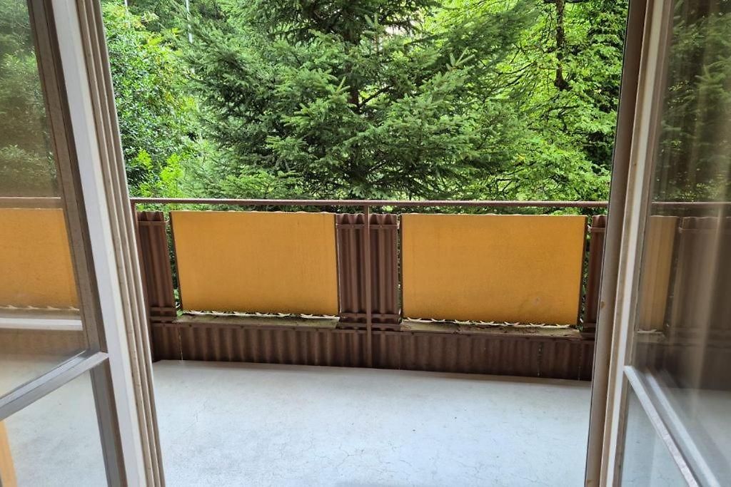 Center Flats With Balcony & Garden View Rigi - Self Checkin Zurich