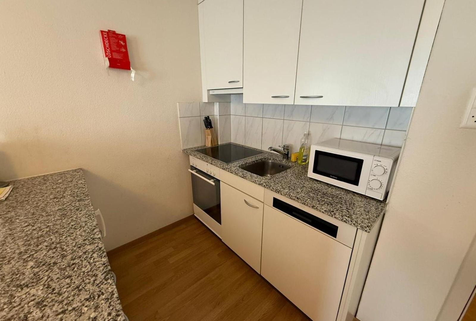 1br Flat In The Center - Crown 3 Zürich