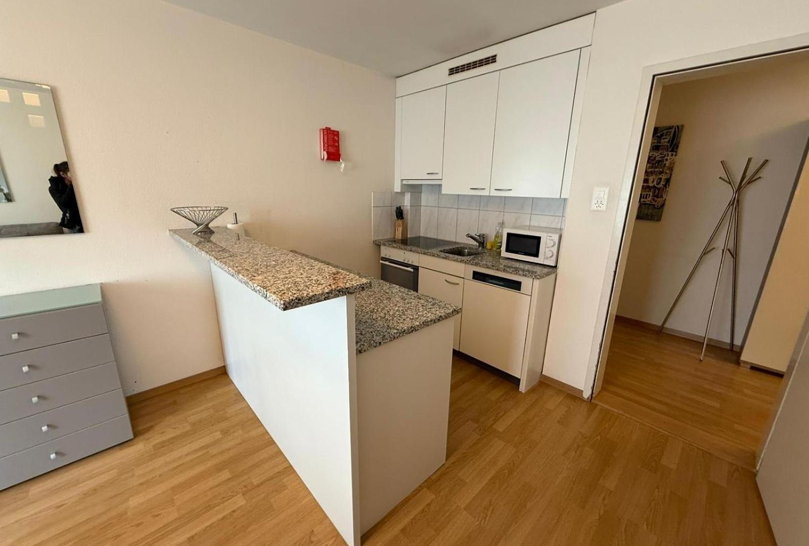 1br Flat In The Center - Crown 3 Apartment *