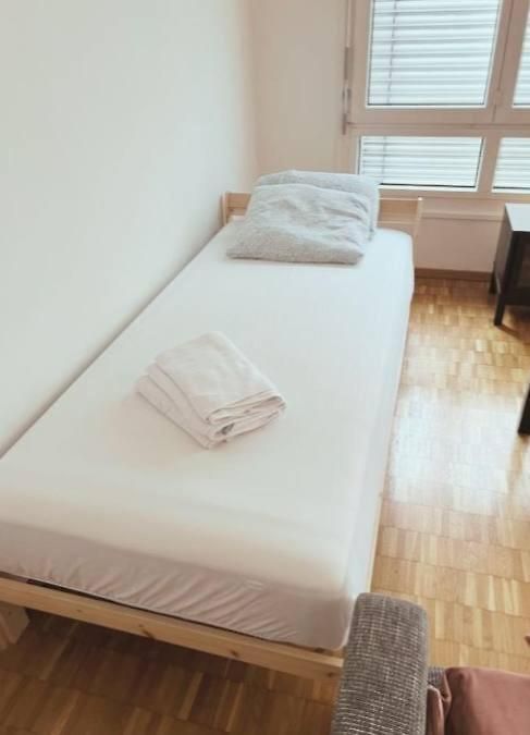 Apartment Large Flat, Downtown Center Next To Hb Main Station Muller - Self Checkin Zurich