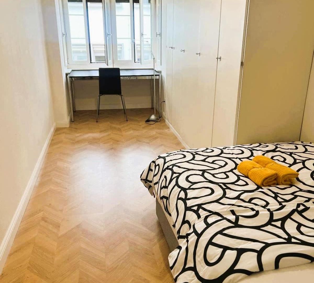 3 Old Town Large Flat, Munster Apartment Zurich