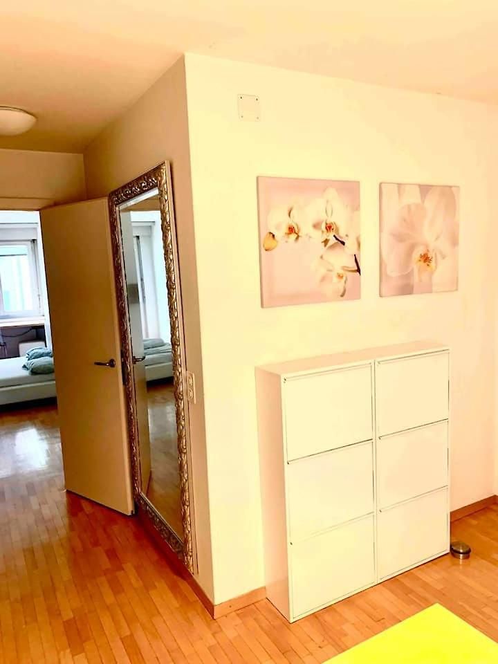 Charming Flat - Weite Zurich