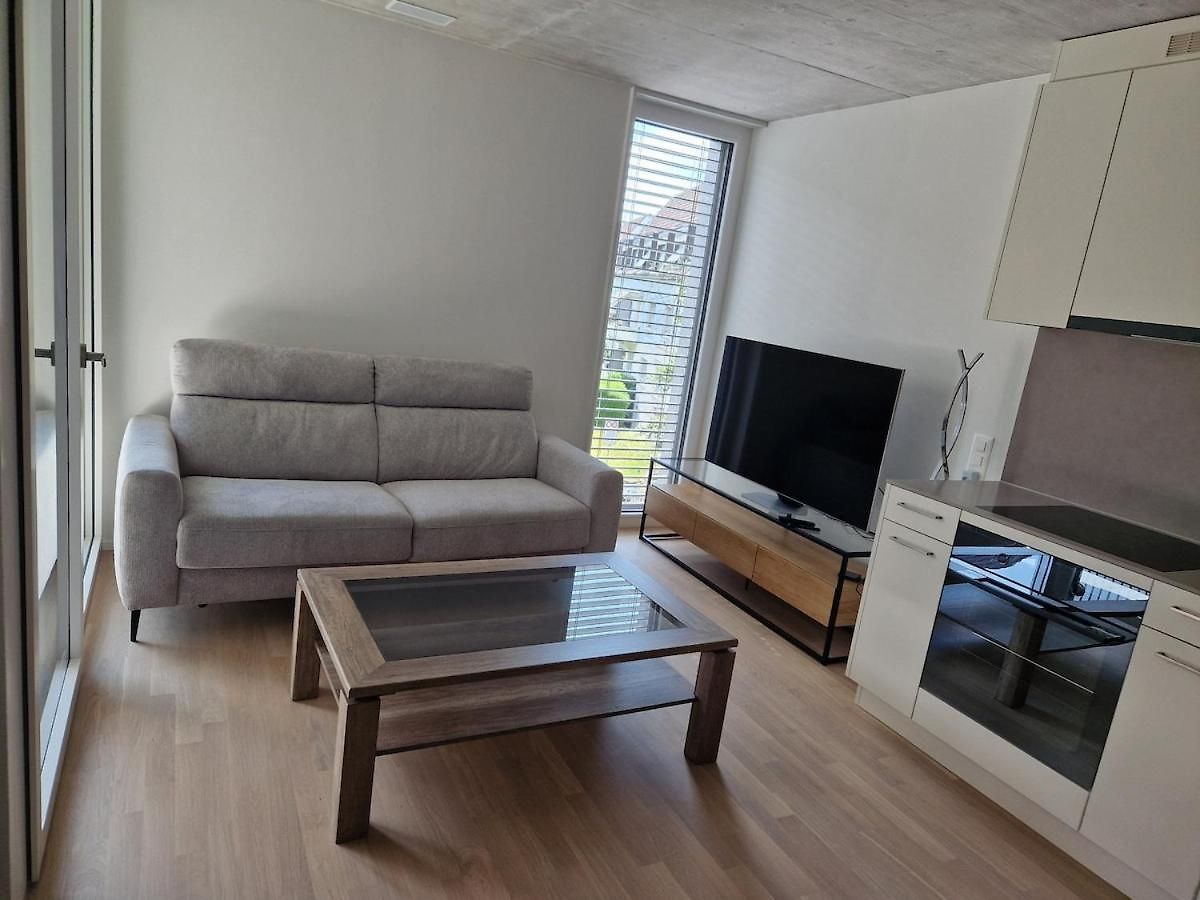 Apartment, 38 Sqm Zurich