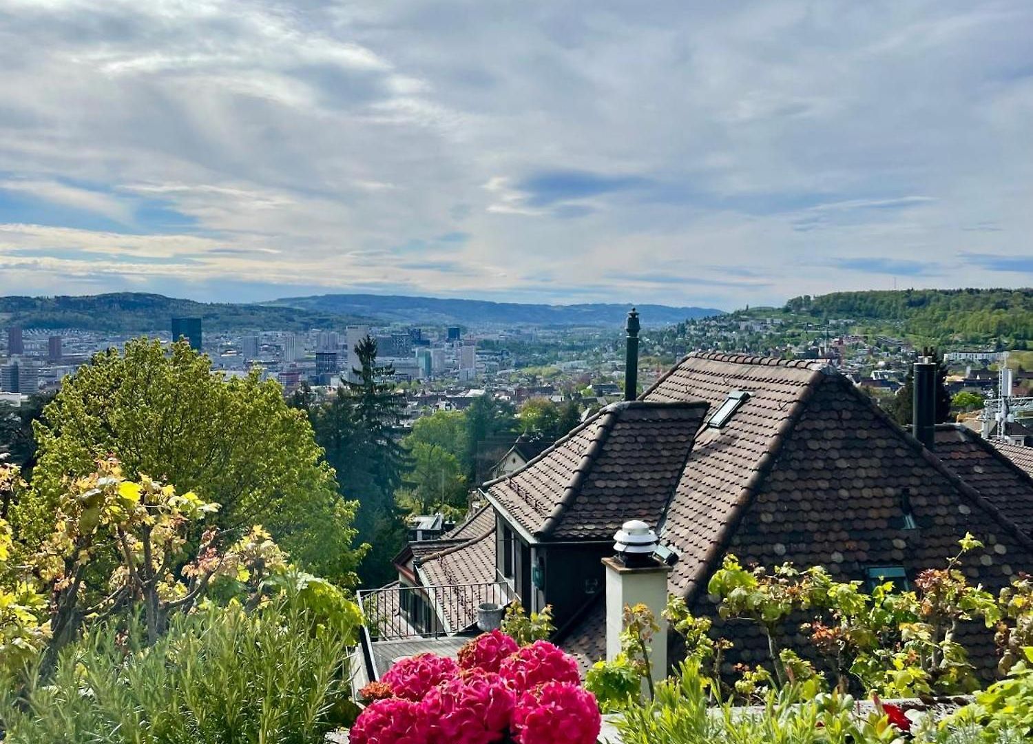 Luxury, Quiet Flat Overlooking Zurich
