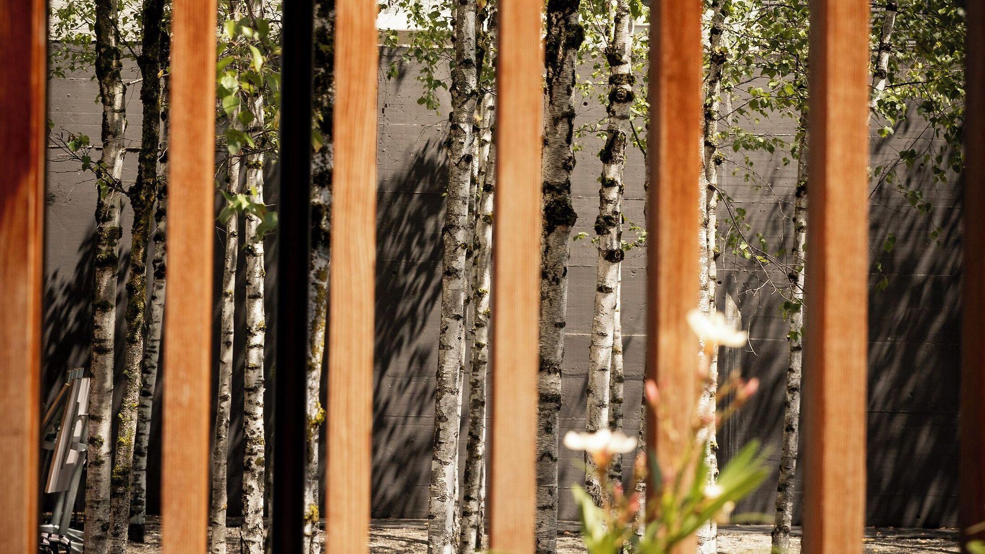 Hotel Greulich Design&boutique Zürich