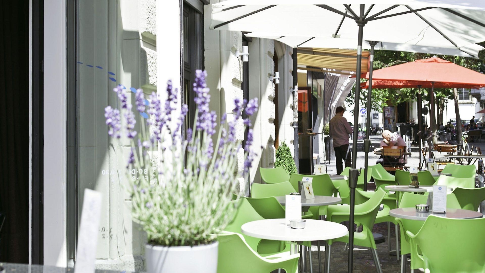 Platzhirsch - Downtown Boutique & Sushi Lounge