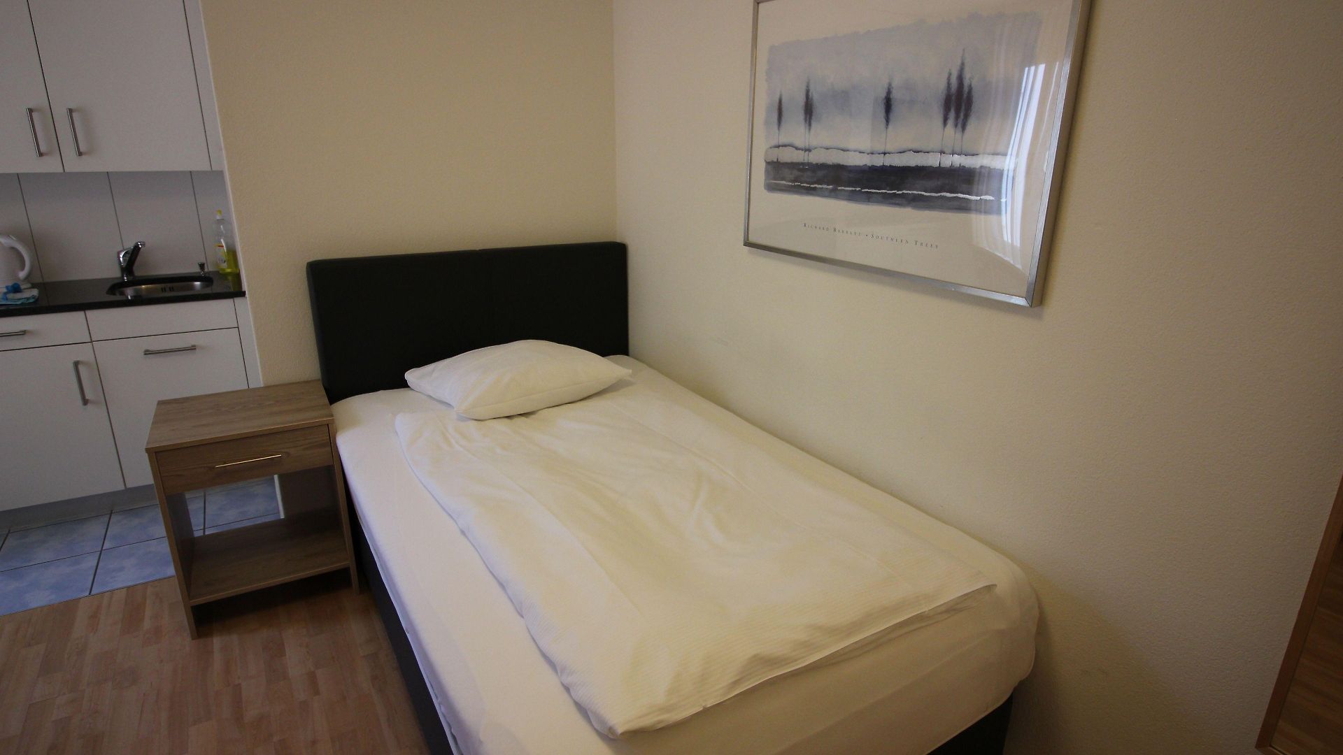 Swiss Star Sihlfeld Hotel 3*