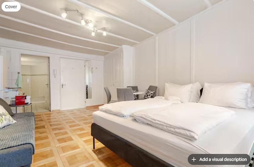 Center With Ac In Old Town Apartment Zurich