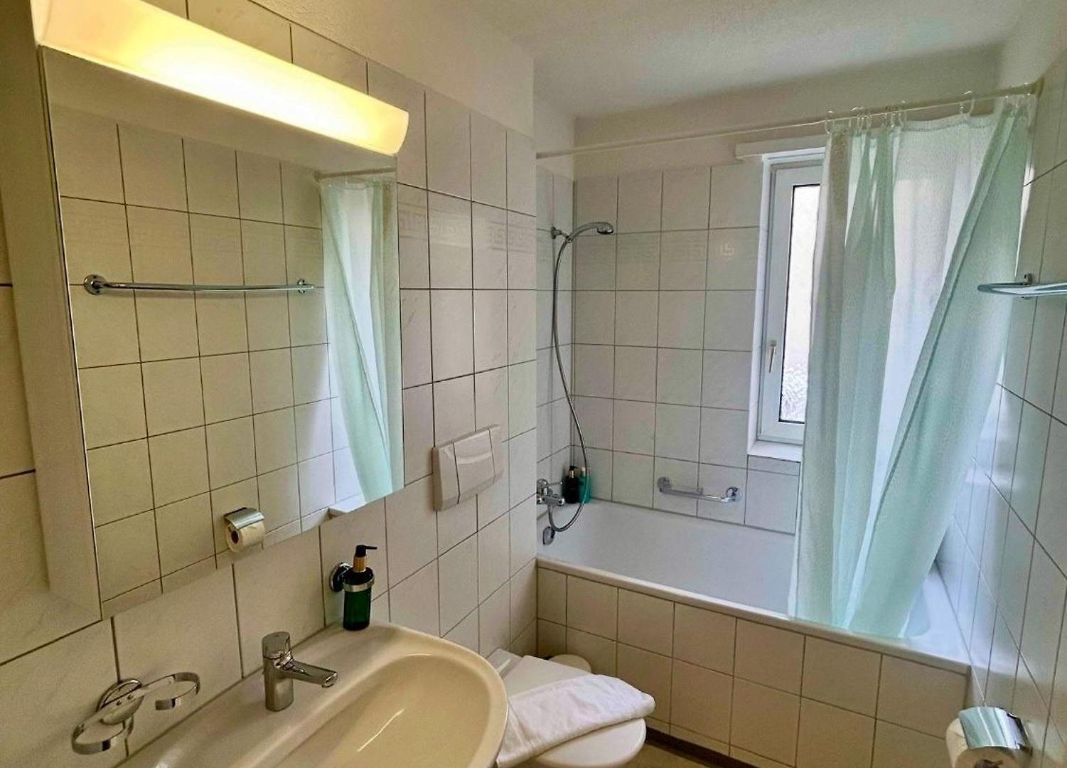 Basic Flat With Balcony In Zürich