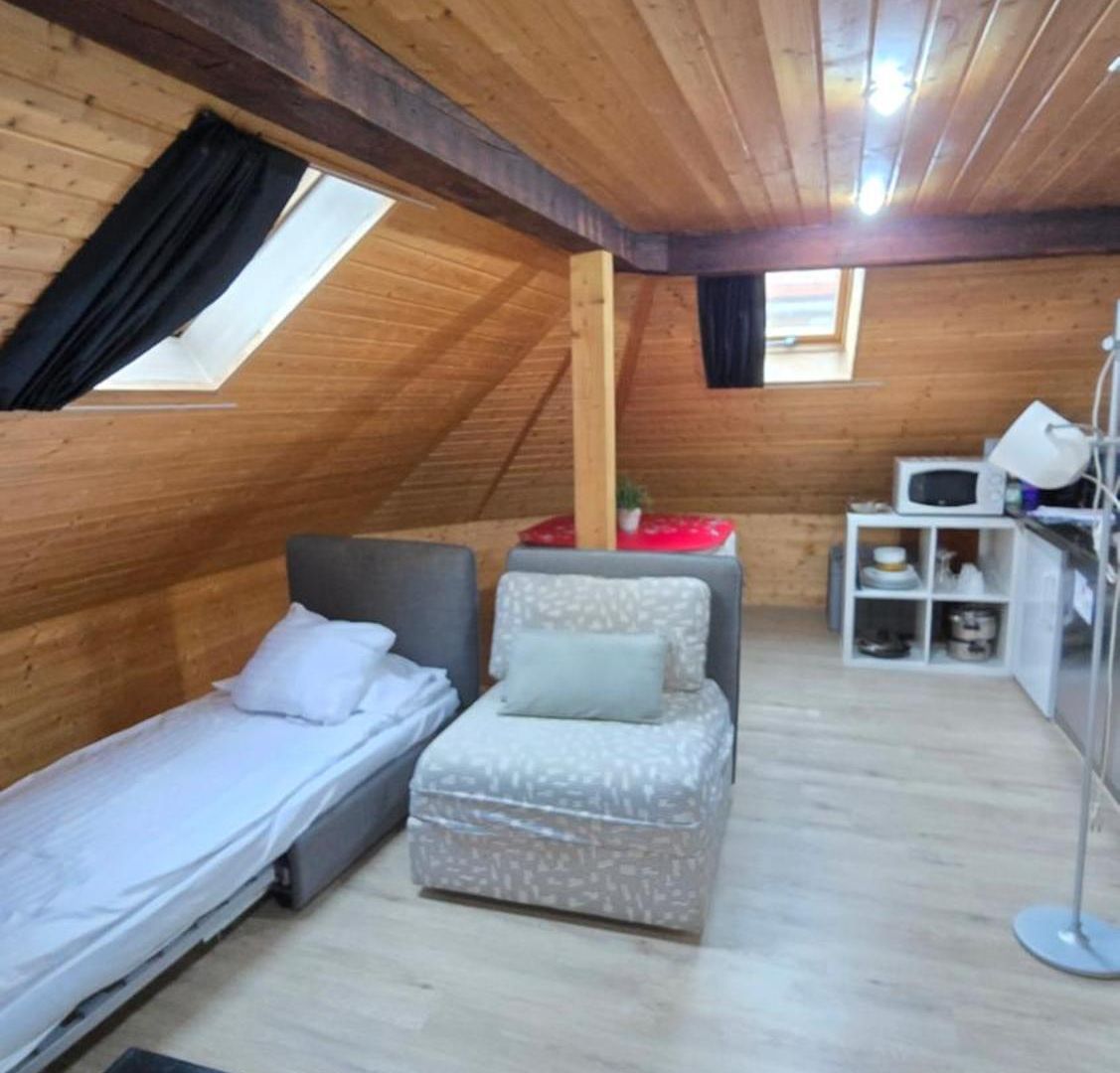 Apartment Attic Loft With Rooftop Terrace! Zürich