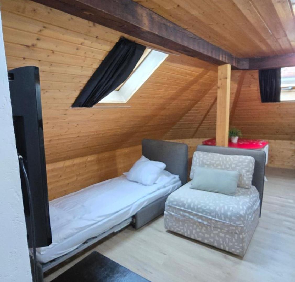 Apartment Attic Loft With Rooftop Terrace! Zürich