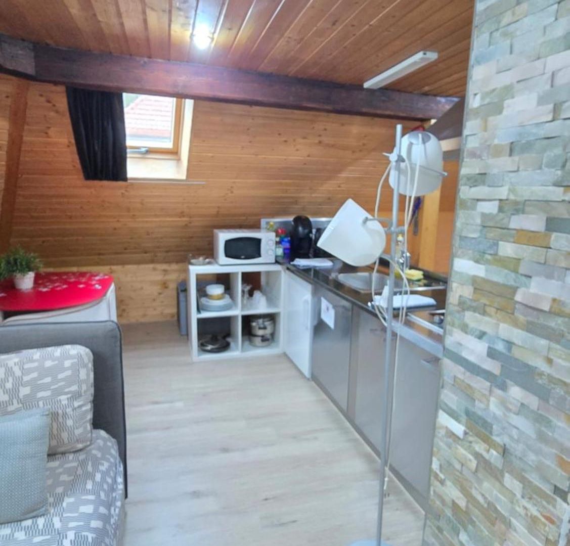 Apartment Attic Loft With Rooftop Terrace! Zürich