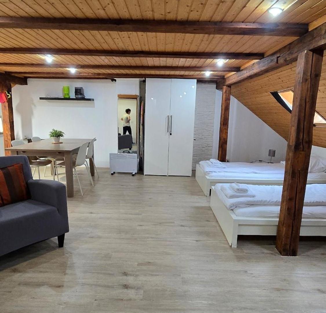 Cozy With Roof Terrace For 3 Apartment *